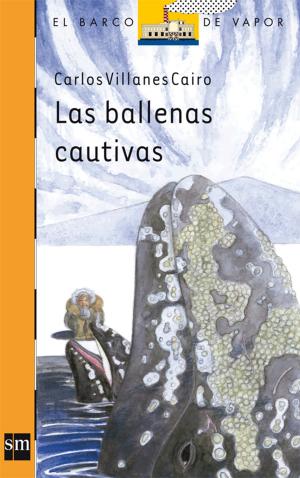 Cover of Las ballenas cautivas (eBook-ePub)