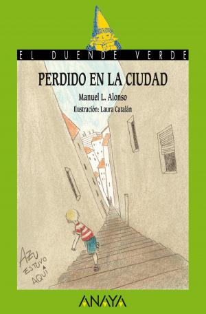 Cover of the book Perdido en la ciudad by David Blanco Laserna