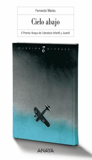Cover of the book Cielo abajo by George Hawkins