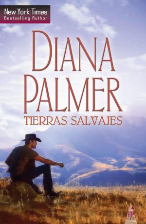 Cover of the book Tierras salvajes by Brenda Joyce