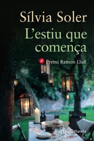 Cover of the book L'estiu que comença by Care Santos