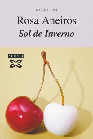 Book cover of Sol de Inverno