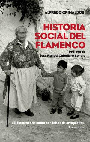 Cover of the book Historia social del flamenco by Corín Tellado