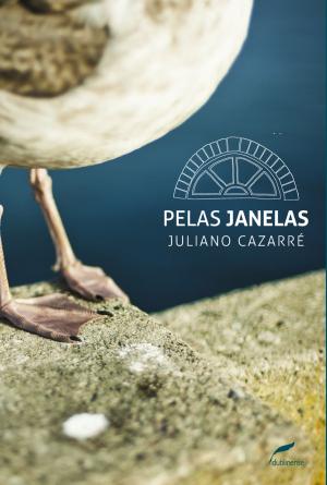 Cover of the book Pelas janelas by Cristovão Tezza