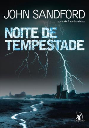 Book cover of Noite de tempestade