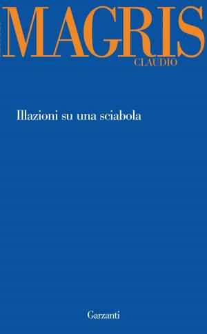 Cover of the book Illazioni su una sciabola by Raffaella Silvestri