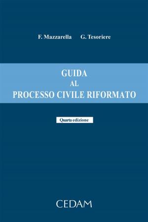 Book cover of Guida al processo civile riformato. Quarta edizione