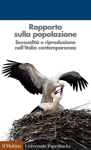 Cover of the book Rapporto sulla popolazione by Paolo, Pombeni