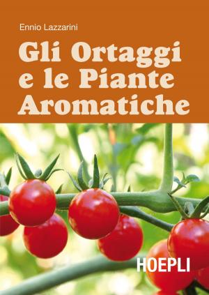Cover of the book Gli ortaggi e le piante aromatiche by Davide Capoti, Emanuele Colacchi, Matteo Maggioni