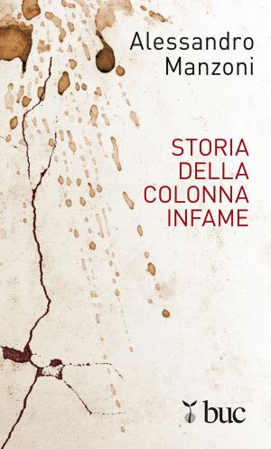 Book cover of Storia della colonna infame