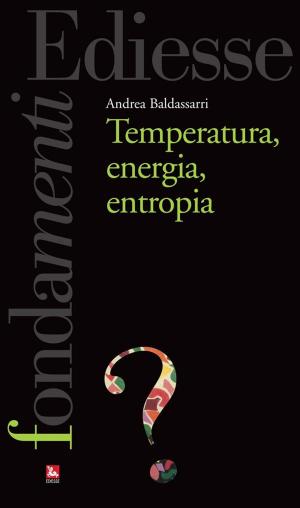 Book cover of Temperatura, energia, entropia