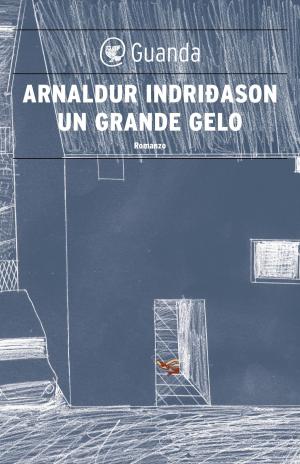 Cover of the book Un grande gelo by Maggie O'Farrell