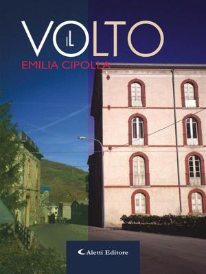 Cover of the book Il Volto by Antologia Poetica
