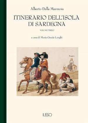 Book cover of Itinerario dell'Isola di Sardegna III