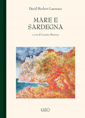 Book cover of Mare e Sardegna