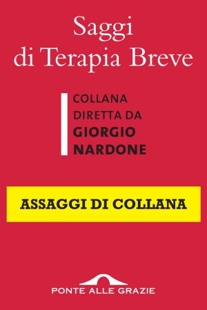 Cover of the book Saggi di Terapia Breve by Eric Alonso Frattini