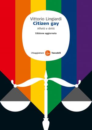 bigCover of the book Citizen gay by 