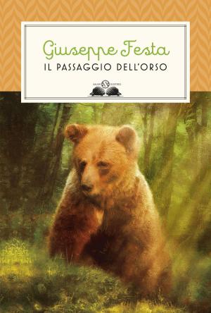 Cover of the book Il passaggio dell'orso by Robert Galbraith, J.K. Rowling