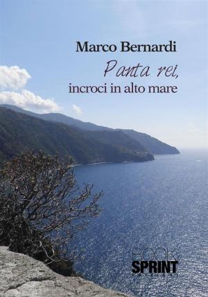 Cover of the book Panta rei, incroci in alto mare by Paolo dii Nerma