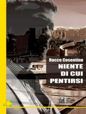 Cover of the book Niente di cui Pentirsi by Daniele Dottorini
