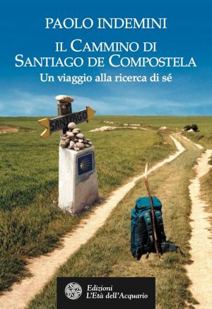 Cover of the book Il cammino di Santiago de Compostela by Max Damioli