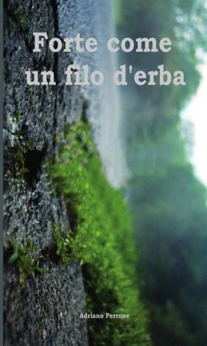 Cover of the book Forte come un filo d'erba by Fabrizio Trainito