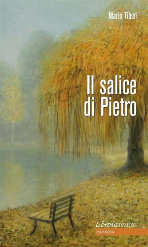 Cover of the book Il salice di Pietro by Niccolò Stopponi