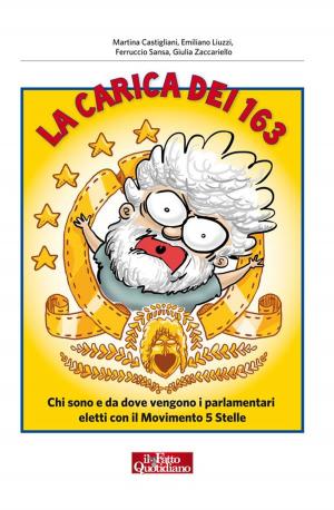 Book cover of La carica dei 163