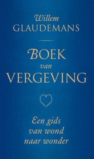 Cover of the book Boek van vergeving by Ina van der Beek