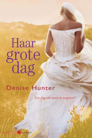 Cover of the book Haar grote dag by Denise Hunter