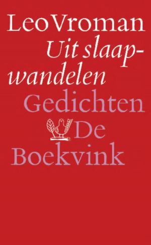 Cover of the book Uit slaapwandelen by Arnon Grunberg