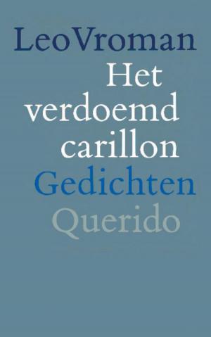 Cover of the book Het verdoemd carillon by Anna Enquist