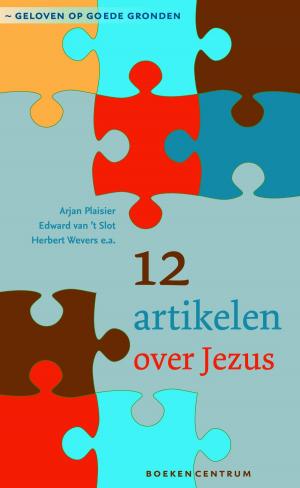 Cover of the book 12 artikelen over Jezus by Hetty Luiten