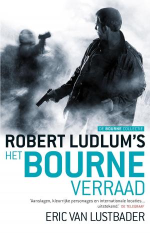 Cover of the book De Bourne collectie by Amanda Hocking