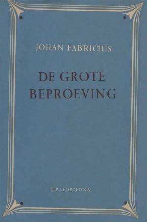 Cover of the book De grote beproeving by Johan Fabricius