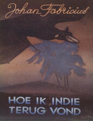 Cover of the book Hoe ik Indie terugvond by Caja Cazemier