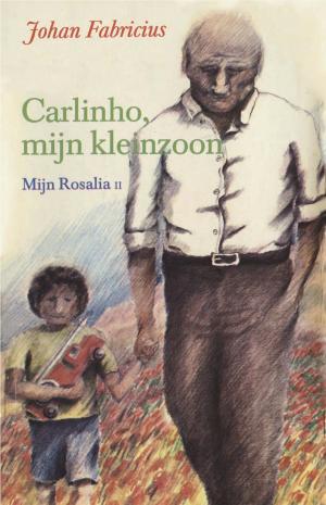 Cover of the book Carlinho, mijn kleinzoon by Brandon Mull, Garth Nix, Sean Williams