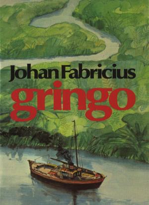 Cover of the book Gringo by Harmen van Straaten