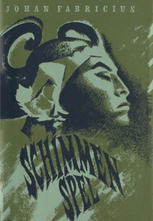 Cover of the book Schimmenspel by Rindert Kromhout