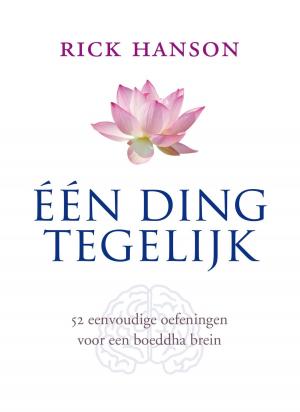 Cover of the book Een ding tegelijk by Johanne A. van Archem