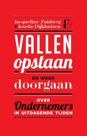 Cover of the book Vallen, opstaan en weer doorgaan by Julia Burgers-Drost