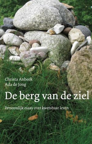 Cover of the book De berg van de ziel by Jos van Manen - Pieters