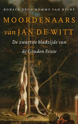 Cover of the book Moordenaars van Jan de Witt by Bert Nijmeijer