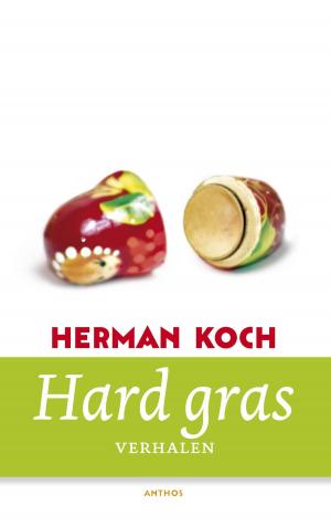 Book cover of Hard gras