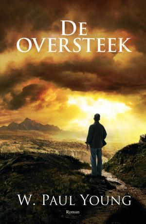 Cover of the book De oversteek by Hans Stolp