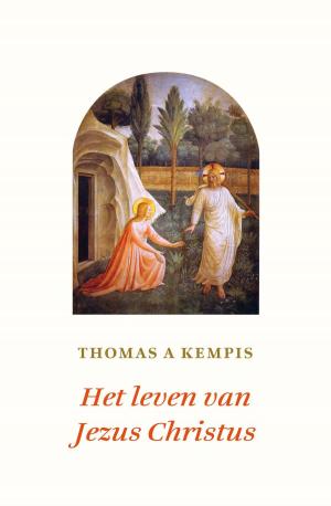 Cover of the book Het leven van Jezus Christus by Rachel Renée Russell