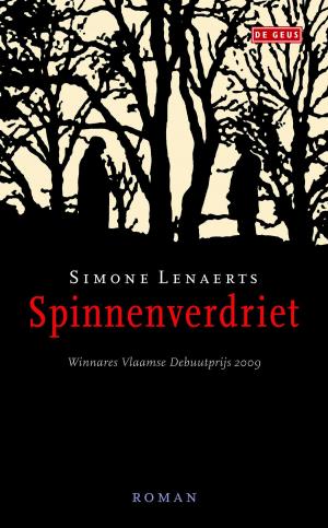 Cover of the book Spinnenverdriet by Pauline Slot
