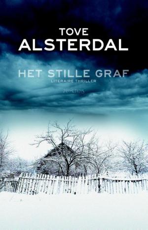 Cover of the book Het stille graf by Carl Frode Tiller