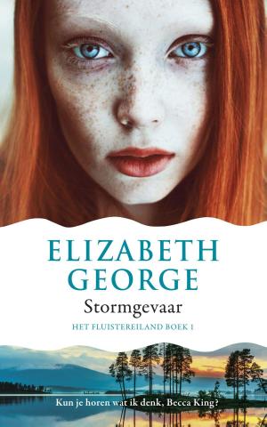 Cover of the book Stormgevaar by L. Marie Adeline