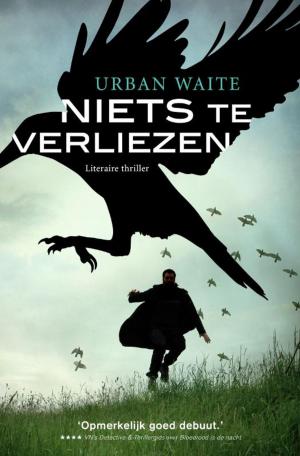 Cover of the book Niets te verliezen by J.C. Hutchins